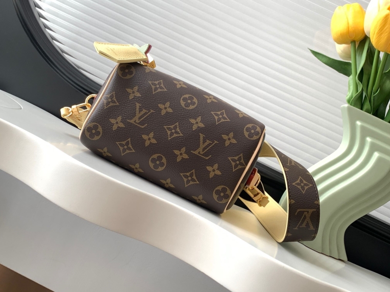 LV Speedy Bags